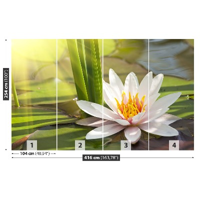 Stenska fototapeta Lotus in ribnik