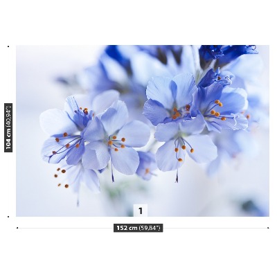 Stenska fototapeta Modrimi cvetovi