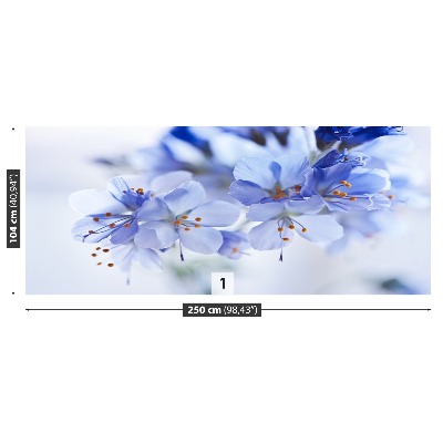 Stenska fototapeta Modrimi cvetovi