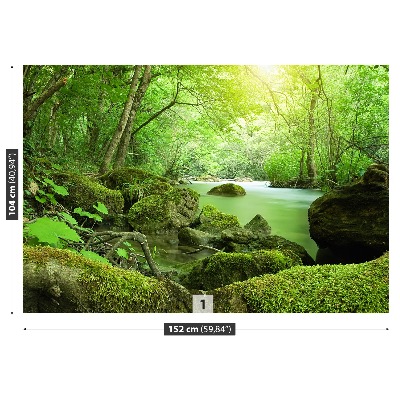 Stenska fototapeta Reka gozd