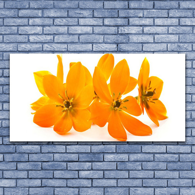 Slika na akrilnem steklu Orange rastlin cvetje