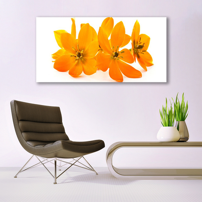 Slika na akrilnem steklu Orange rastlin cvetje