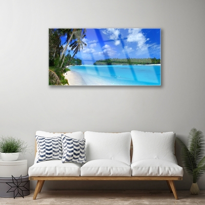 Slika na akrilnem steklu Palm beach sea