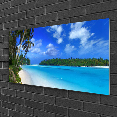 Slika na akrilnem steklu Palm beach sea