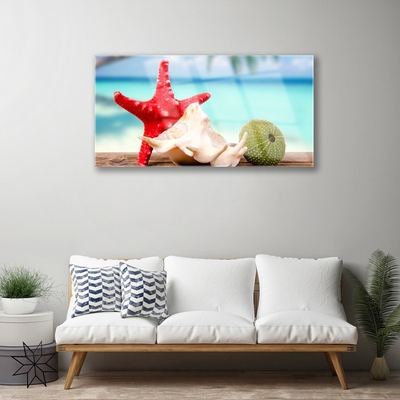 Slika na akrilnem steklu Shell starfish art