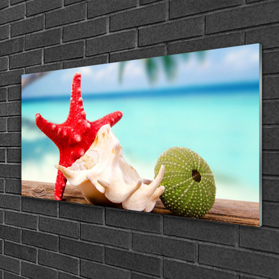 Slika na akrilnem steklu Shell starfish art