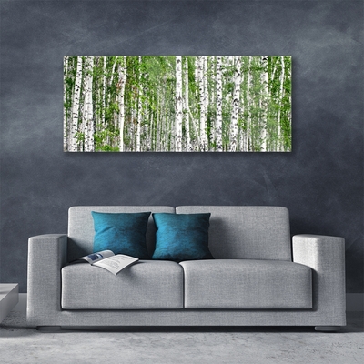 Slika na akrilnem steklu Birch tree forest narava