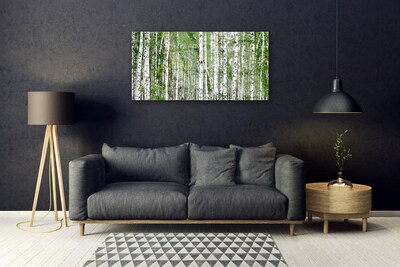 Slika na akrilnem steklu Birch tree forest narava