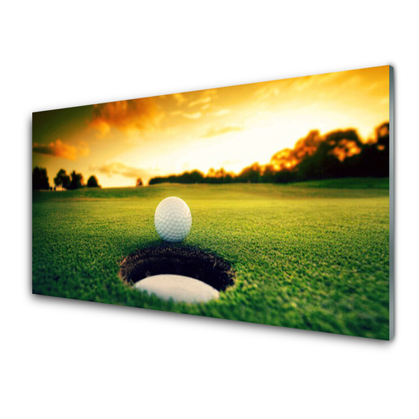 Slika na akrilnem steklu Golf ball grass nature
