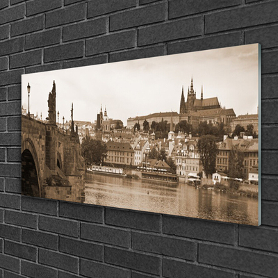 Slika na akrilnem steklu Praga bridge landscape