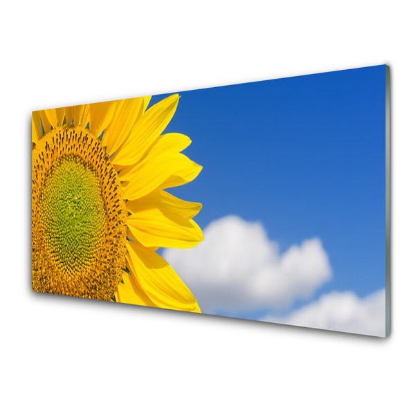 Slika na akrilnem steklu Sončnična heaven oblaki