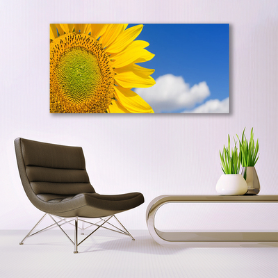 Slika na akrilnem steklu Sončnična heaven oblaki