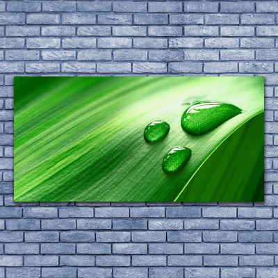 Slika na akrilnem steklu Leaf water drops