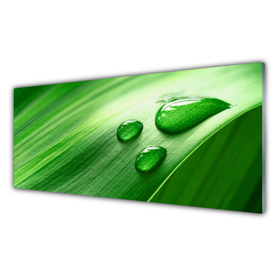 Slika na akrilnem steklu Leaf water drops