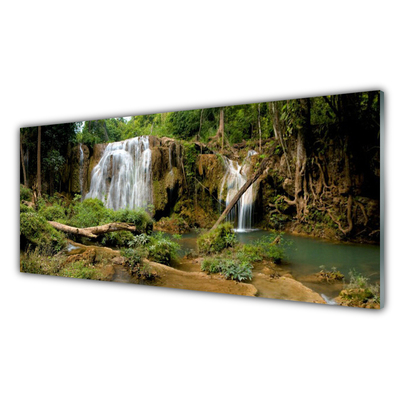 Slika na akrilnem steklu Slap river forest narava