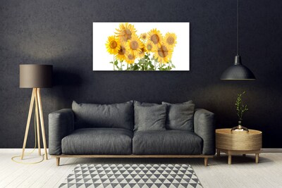 Slika na akrilnem steklu Sončnice rastlin