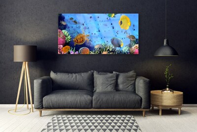 Slika na akrilnem steklu Coral reef fish narava