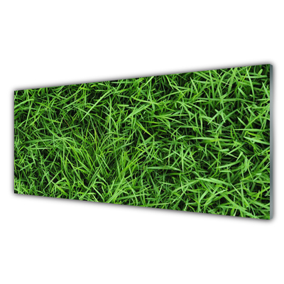 Slika na akrilnem steklu Trava lawn