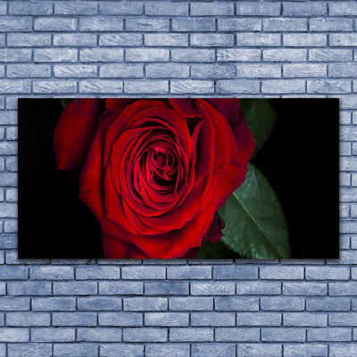 Slika na akrilnem steklu Rose na wall