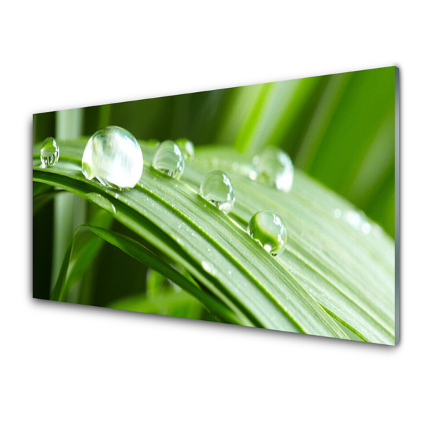 Slika na akrilnem steklu Leaf dew drops