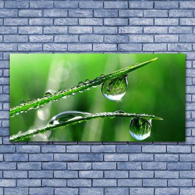 Slika na akrilnem steklu Grass dew drops