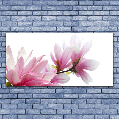 Slika na akrilnem steklu Magnolia flower