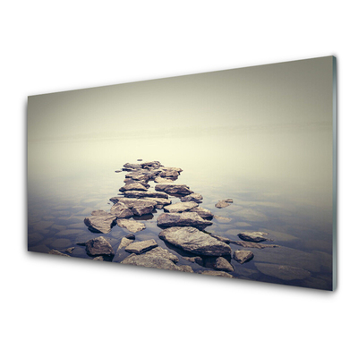 Slika na akrilnem steklu Rocks vode landscape