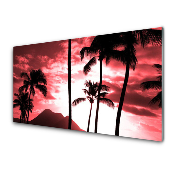Slika na akrilnem steklu Top palm trees narava