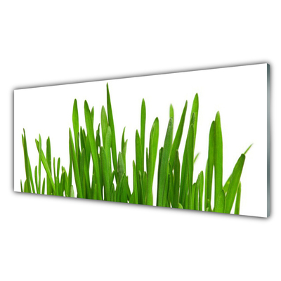 Slika na akrilnem steklu Grass on wall