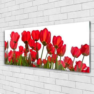 Slika na akrilnem steklu Rože na steni