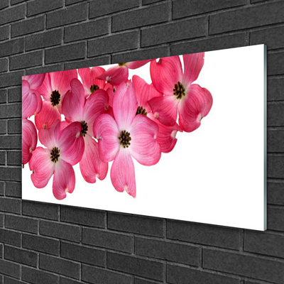 Slika na akrilnem steklu Rože na steni