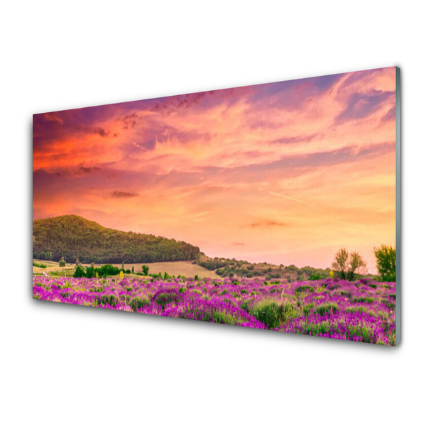 Slika na akrilnem steklu Cvetje travnik landscape