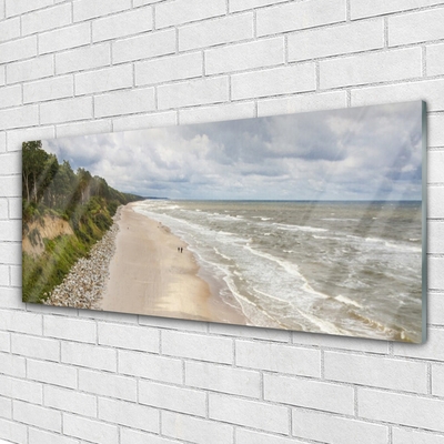 Slika na akrilnem steklu Plaža morje tree narava