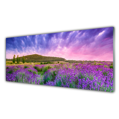 Slika na akrilnem steklu Travniškega cvetja mountains narava