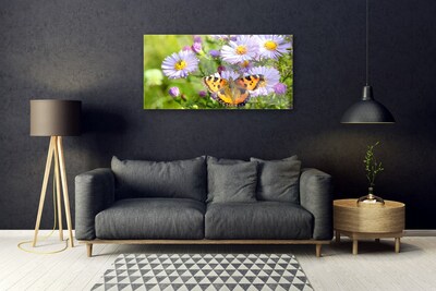 Slika na akrilnem steklu Rastlina cveti butterfly narava