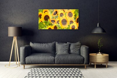 Slika na akrilnem steklu Sončnice rastlin