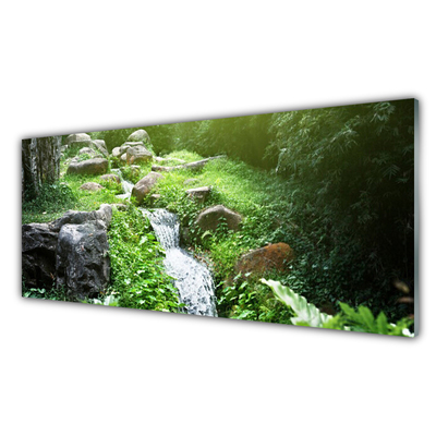 Slika na akrilnem steklu Stream grass nature rastlin