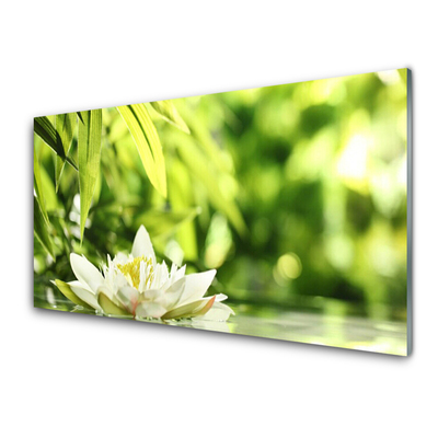 Slika na akrilnem steklu Cvetni listi