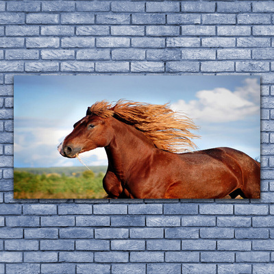 Slika na akrilnem steklu Konj živali