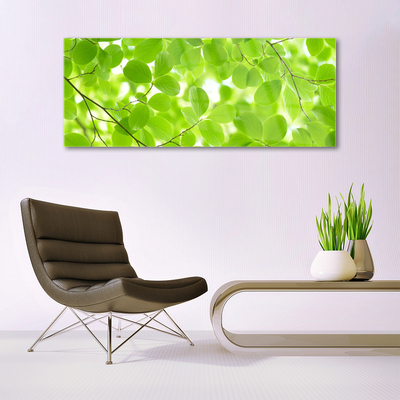 Slika na akrilnem steklu Listi narava