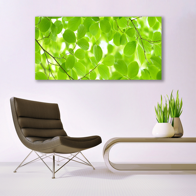 Slika na akrilnem steklu Listi narava