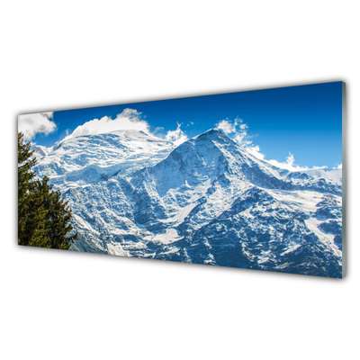 Slika na akrilnem steklu Mountain tree landscape