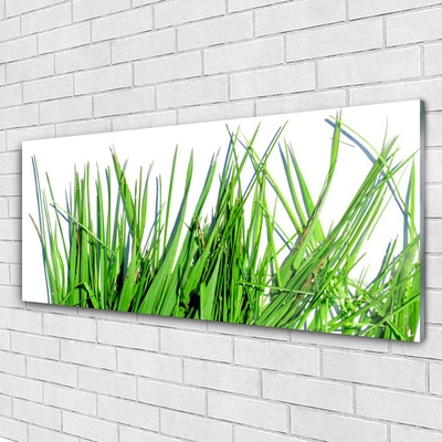 Slika na akrilnem steklu Grass on wall