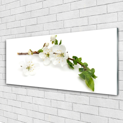 Slika na akrilnem steklu Branch flower narava rastlin