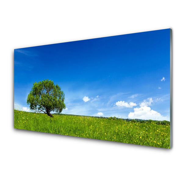 Slika na akrilnem steklu Grass tree narava