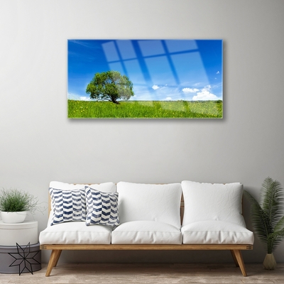 Slika na akrilnem steklu Grass tree narava