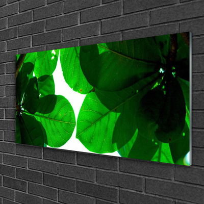 Slika na akrilnem steklu Listi na zidu