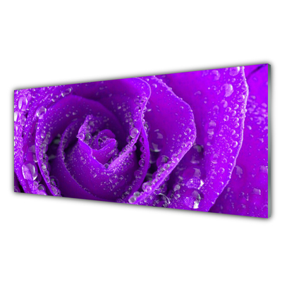 Slika na akrilnem steklu Rose flower rastlin