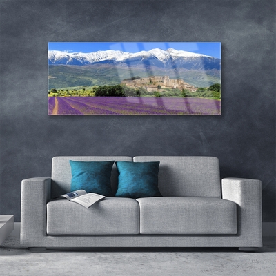Slika na akrilnem steklu Travniškega cvetja mountain landscape