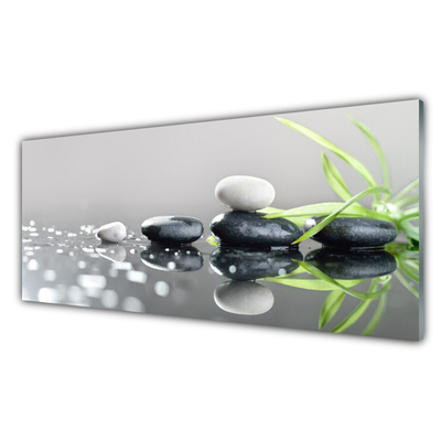 Slika na akrilnem steklu Zen spa stones grass